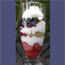 Fruit & Granola Parfait