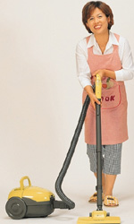 Cleaning Burns Calories