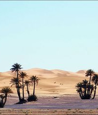 This is the environment hoodia grows in.