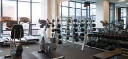 Gyms can be Intimidating