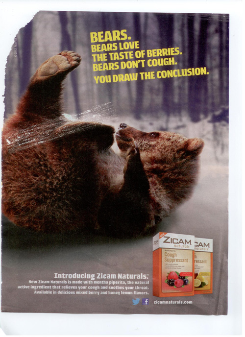 Bear in Zicam Ad