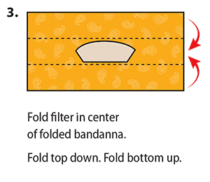 Fold filter in center of folded bandanna. Fold top down. Fold bottom up. 