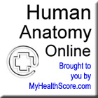 Human Anatomy Online Link