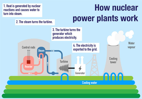 How Nuclear Power Plants Work