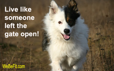 Live like someone left the gate open!