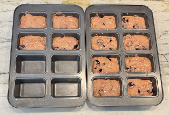 Lightly grease 12 mini loaf pans with avocado oil. Divide the batter evenly among the pans.