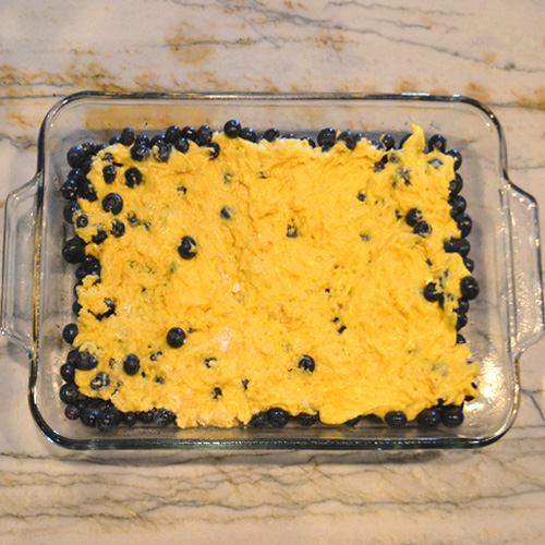 Blueberry Cake