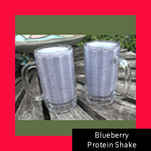 Blueberry Protein Shake