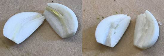 Cut the garlic in half and remove the shoots.