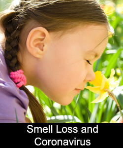Smell Loss and Coronavirus