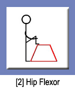 Hip Flexor