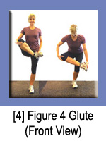 Figure 4 Glute (Front View)