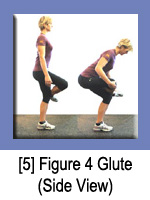 Figure 4 Glute (Side View)