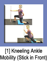Kneeling Ankle Mobility (Stick in Front)
