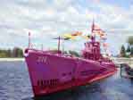 Pink Submarine