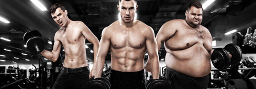 Ectomorphs - Mesomorphs - Endomorphs