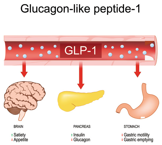 GLP-1 Drugs