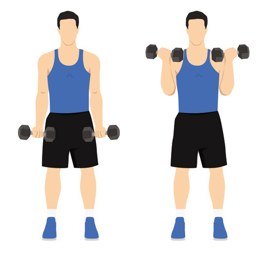 Biceps Curls with Dumbbells