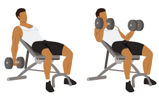 Incline Dumbbell Curls