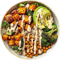 Vegetarian Meal