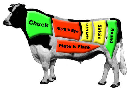 Where beef cuts come from on a bull.