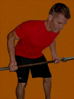 Reverse Grip Barbell Row