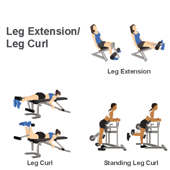 Leg Extension/Leg Curl Combo