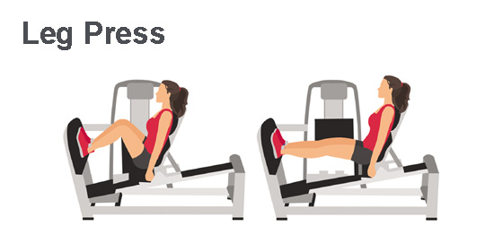 Leg Press