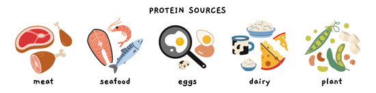 Protein Sources
