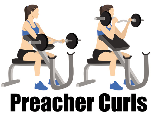 Preacher Curls
