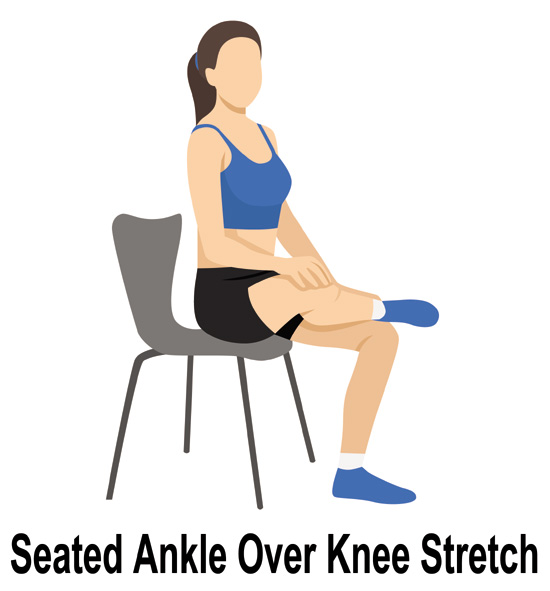 Seated Ankle Over Knee Stretch