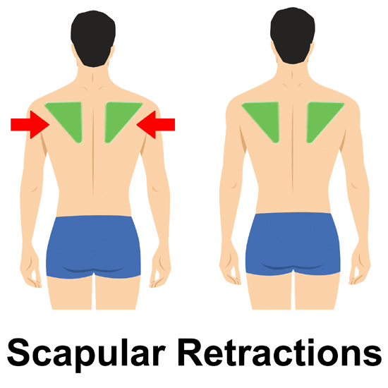 Scapular Retractions
