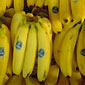 Slightly Green Bananas