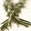 Rosemary