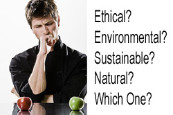 What's truly the best choice?