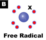 Free Radical