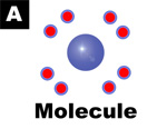 Molecule