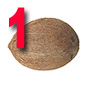 Confusing Coconut Claims