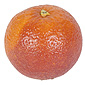 Blood Orange