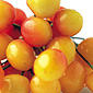 Ranier Cherries