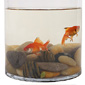 Fish Bowl