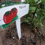 Plant a vegetable garden.