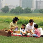 Pack a Picnic