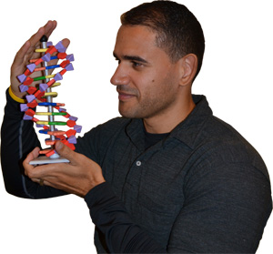 DNA Models