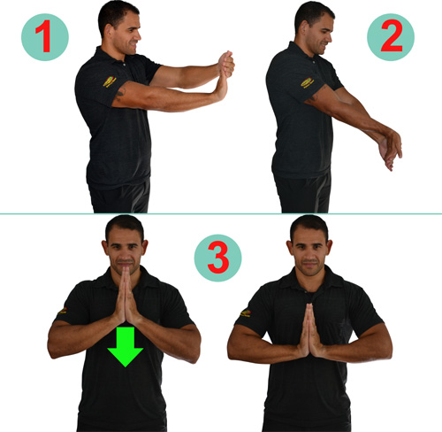 Forearm Stretches