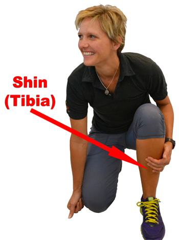 Location of Shinbone