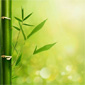 Progressive Muscle Relaxation