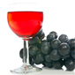 Is a Daily Drink Good for You?