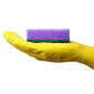 Germ Covered Things You Touch Everyday