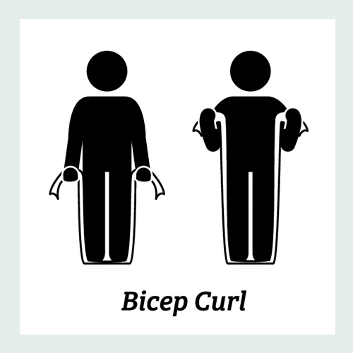 Bicep Curl